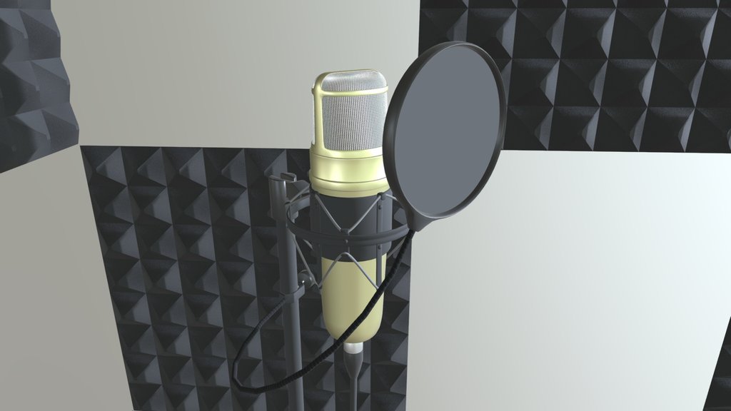 Studio Microphone