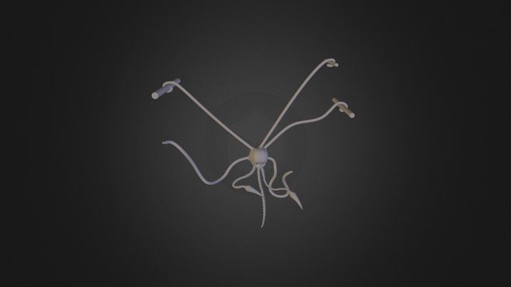 Work In Progress 3D Model