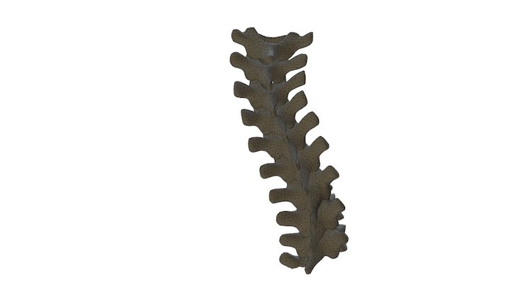 SV003521 3D Model