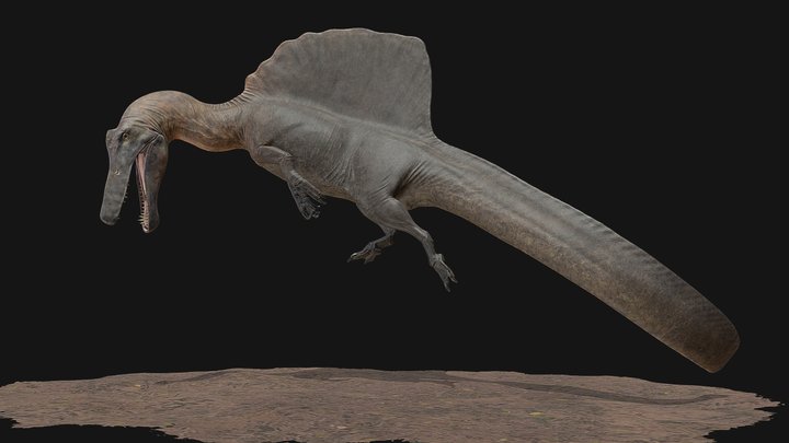 Swimming Spinosaurus (Read Description) 3D Model