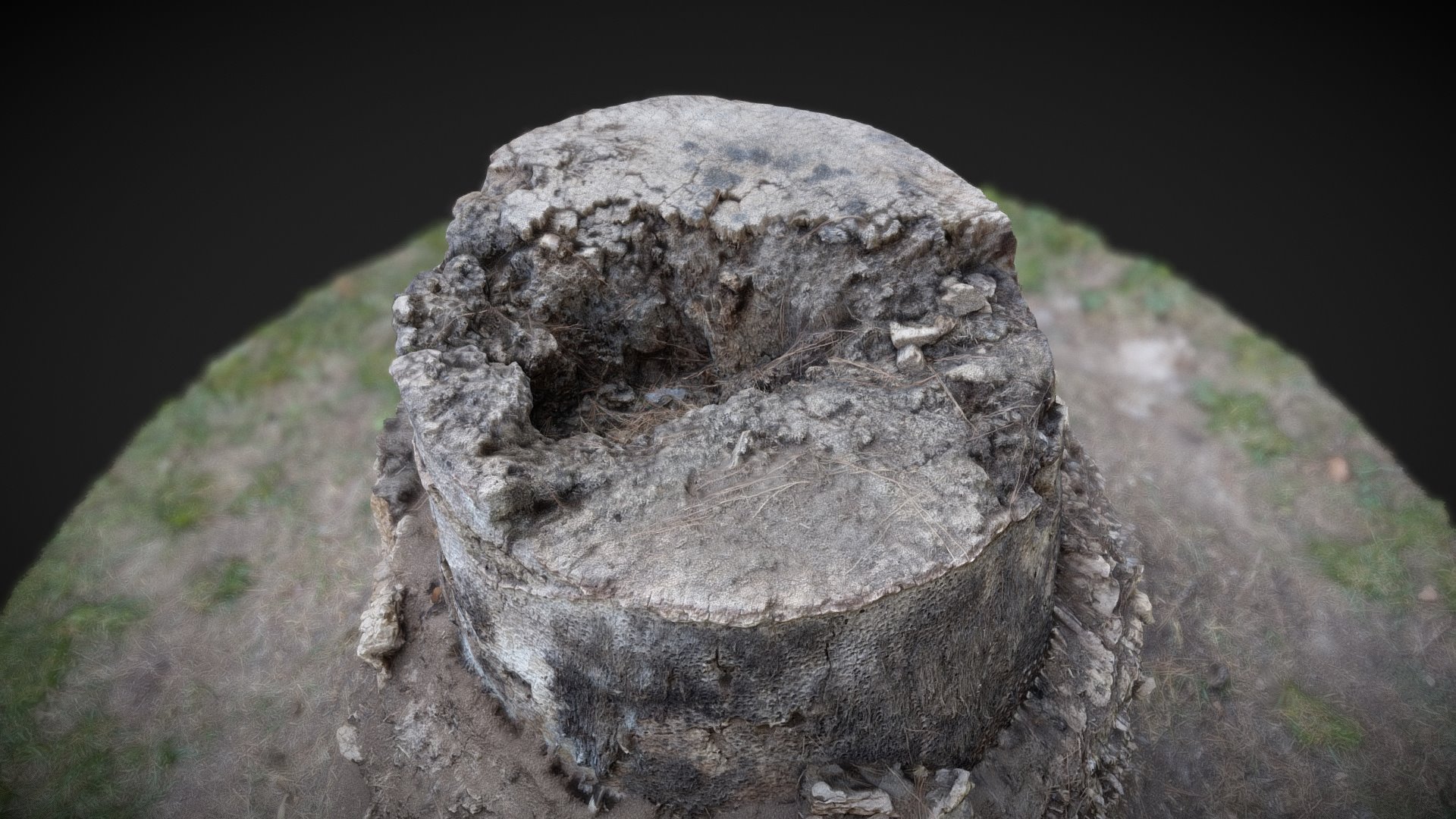 3D model Palm Tree Stump #1 - This is a 3D model of the Palm Tree Stump #1. The 3D model is about a rock with a face carved into it.