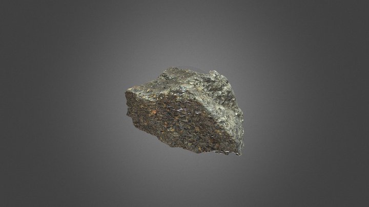 Anthraxolite 3D Model