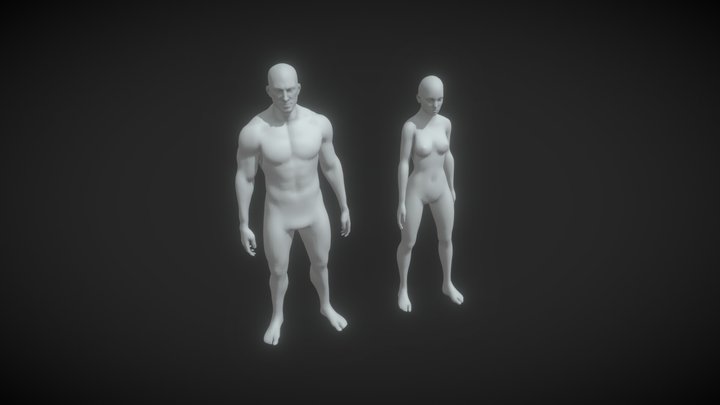 Male Female Body Base Mesh Animated 10k Poly 3D Model