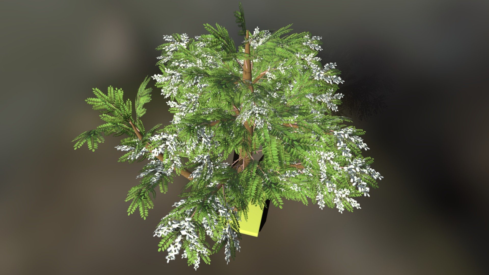 tree