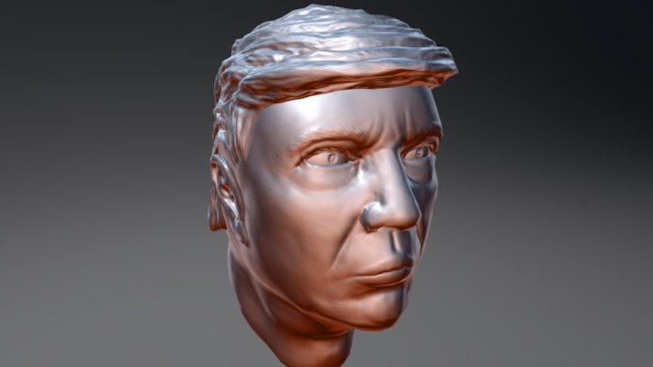 Donald-trump 3D models - Sketchfab