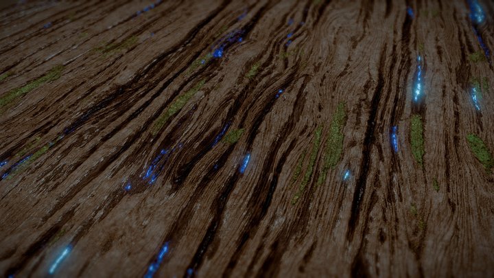 Magical Wood Texture 3D Model