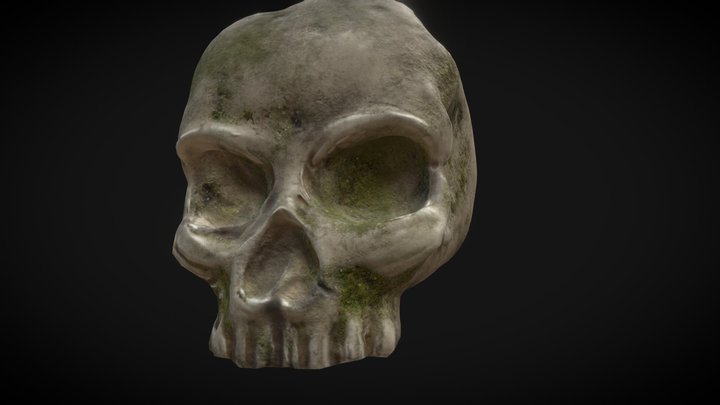 Skull 3D Model