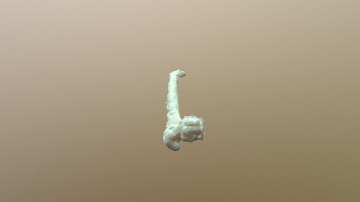 Femur 3D Model