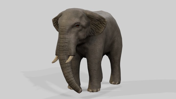 Elephant - ゾウ - Oct 2023 3D Model
