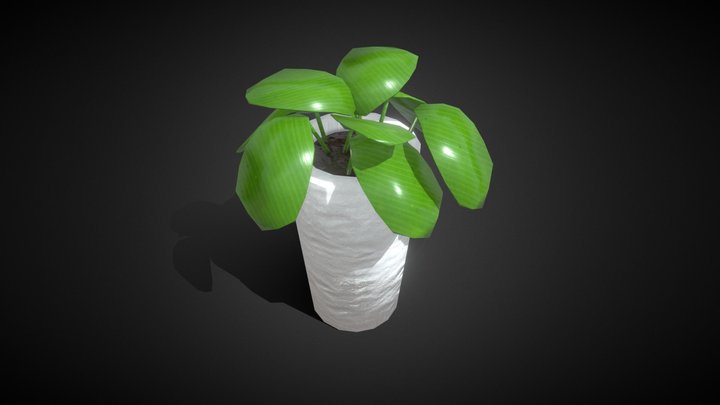 Plant Vase 3D Model