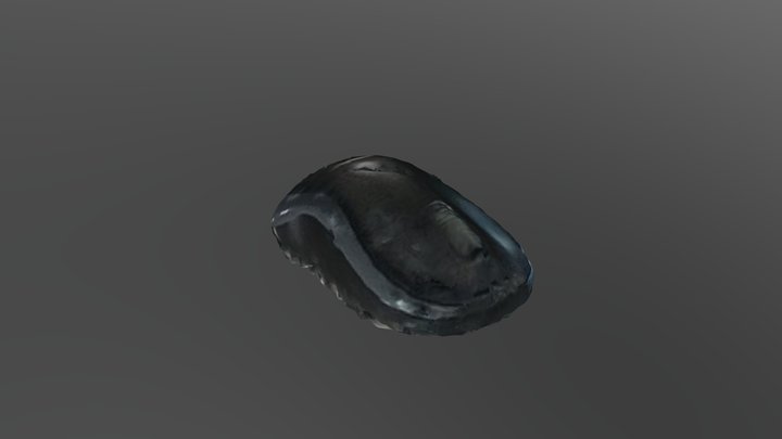 New Qlone 3D Model