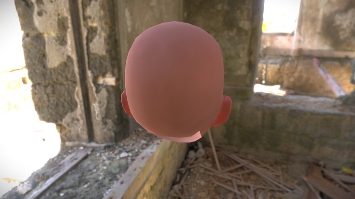 Face 3D Model