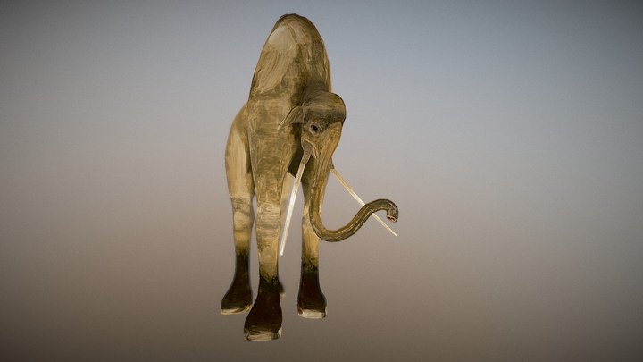 Mammuthus Gibbus (Hunchbacked Mammoth) 3D Model