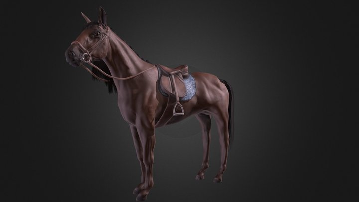 Game Ready Horse 3D Model