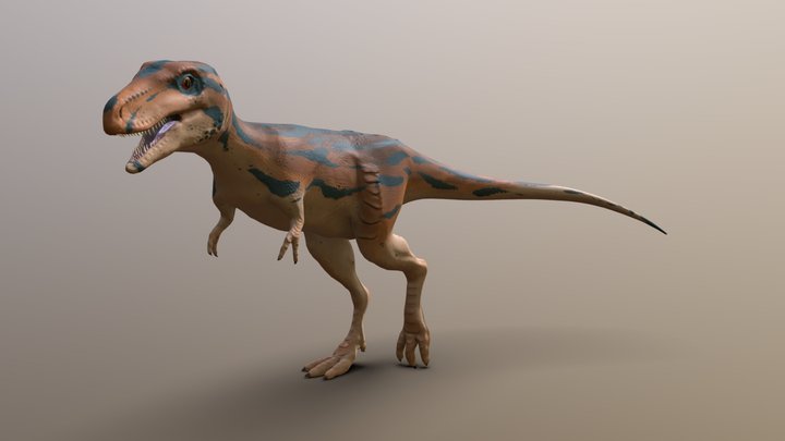 Hazel the baby T Rex 3D Model