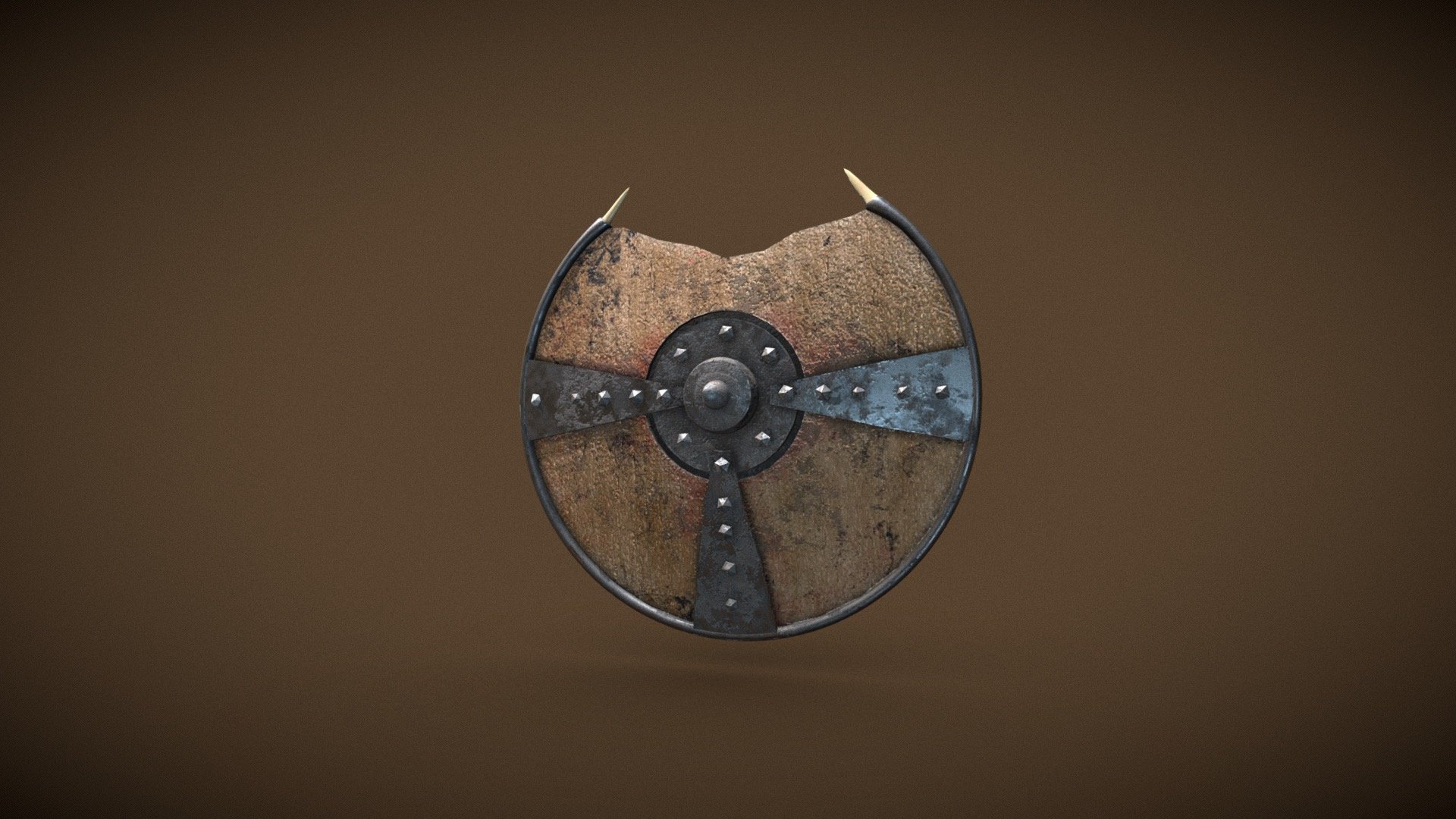Viking round shield