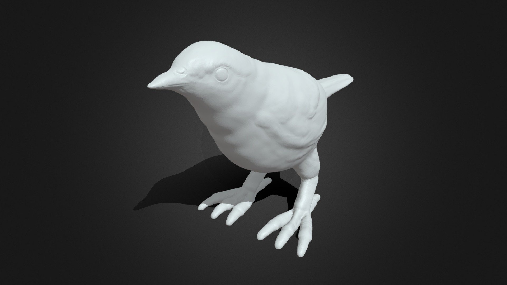 Bird 3d printing model