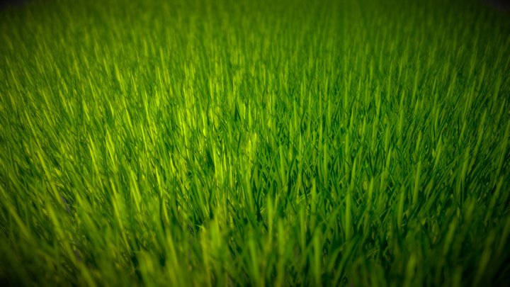 Green Field 3D Model