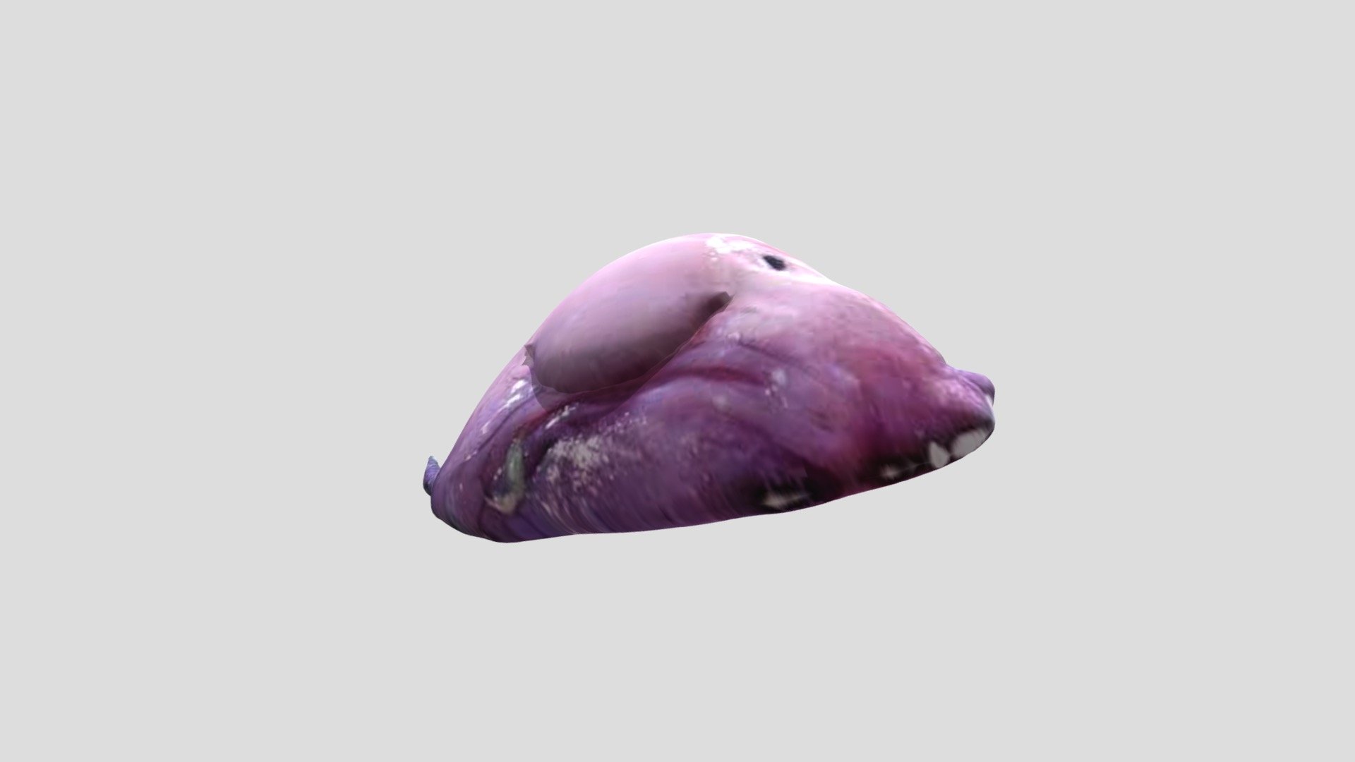 水滴魚