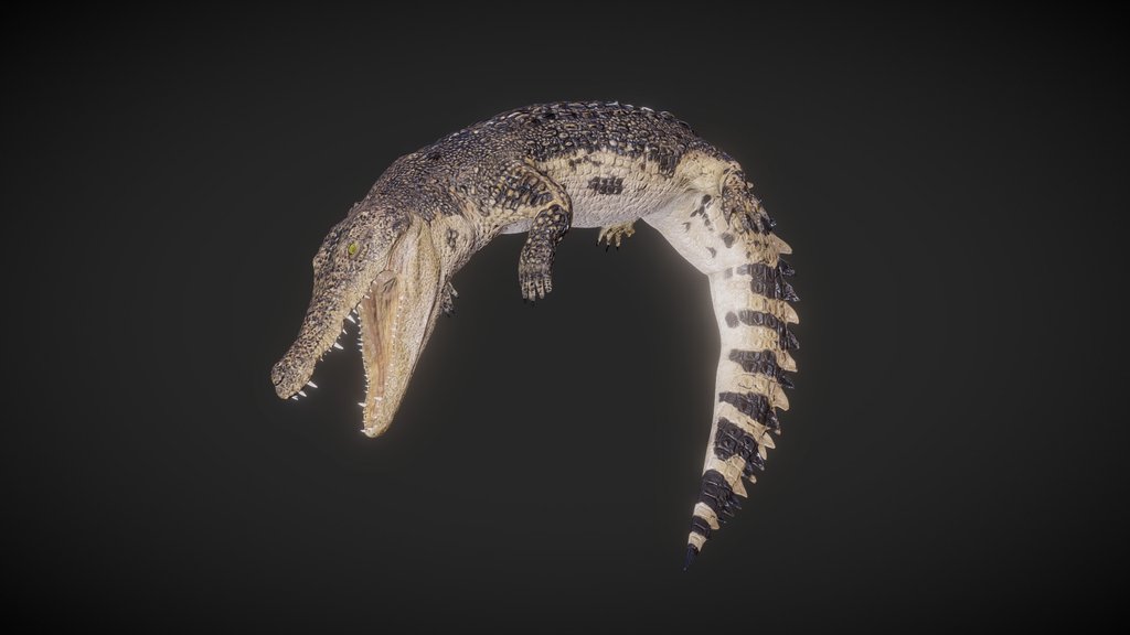 Crocodile (Siamese crocodile)
