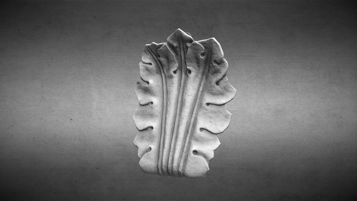 Foglia1 3D Model
