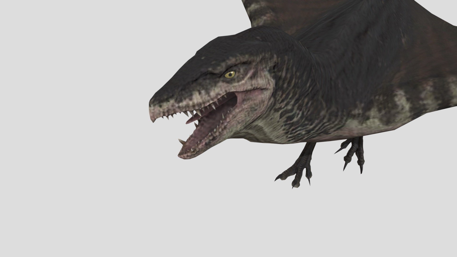Mutadon - Download Free 3D model by Brainrotking [1076899] - Sketchfab