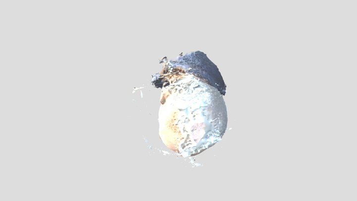 TITI 3D Model