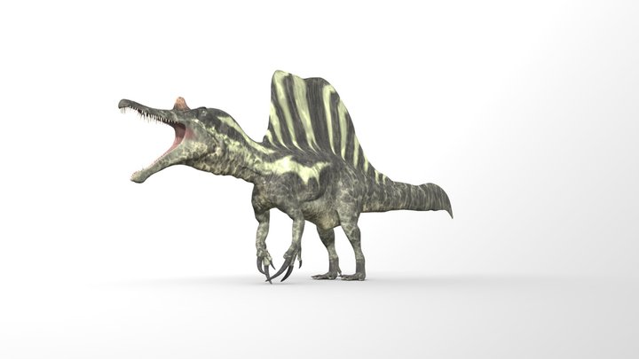 Dinoraul's Icthyovenator But It's Spinosaurus – Kostenloses 3D-Modell STL