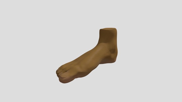 Foot sculpt 3D Model