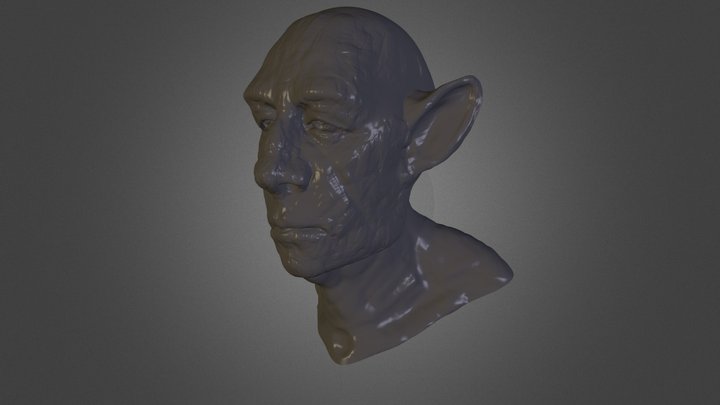 Face Pre Venice 3D Model