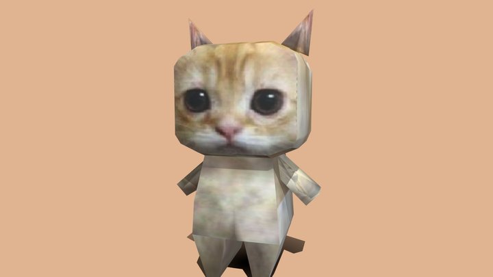 Cat box meme 3D Model