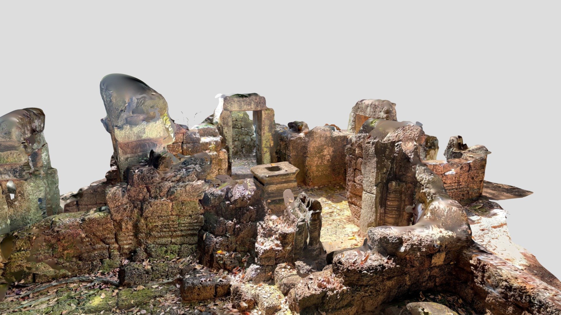 Polycam capture