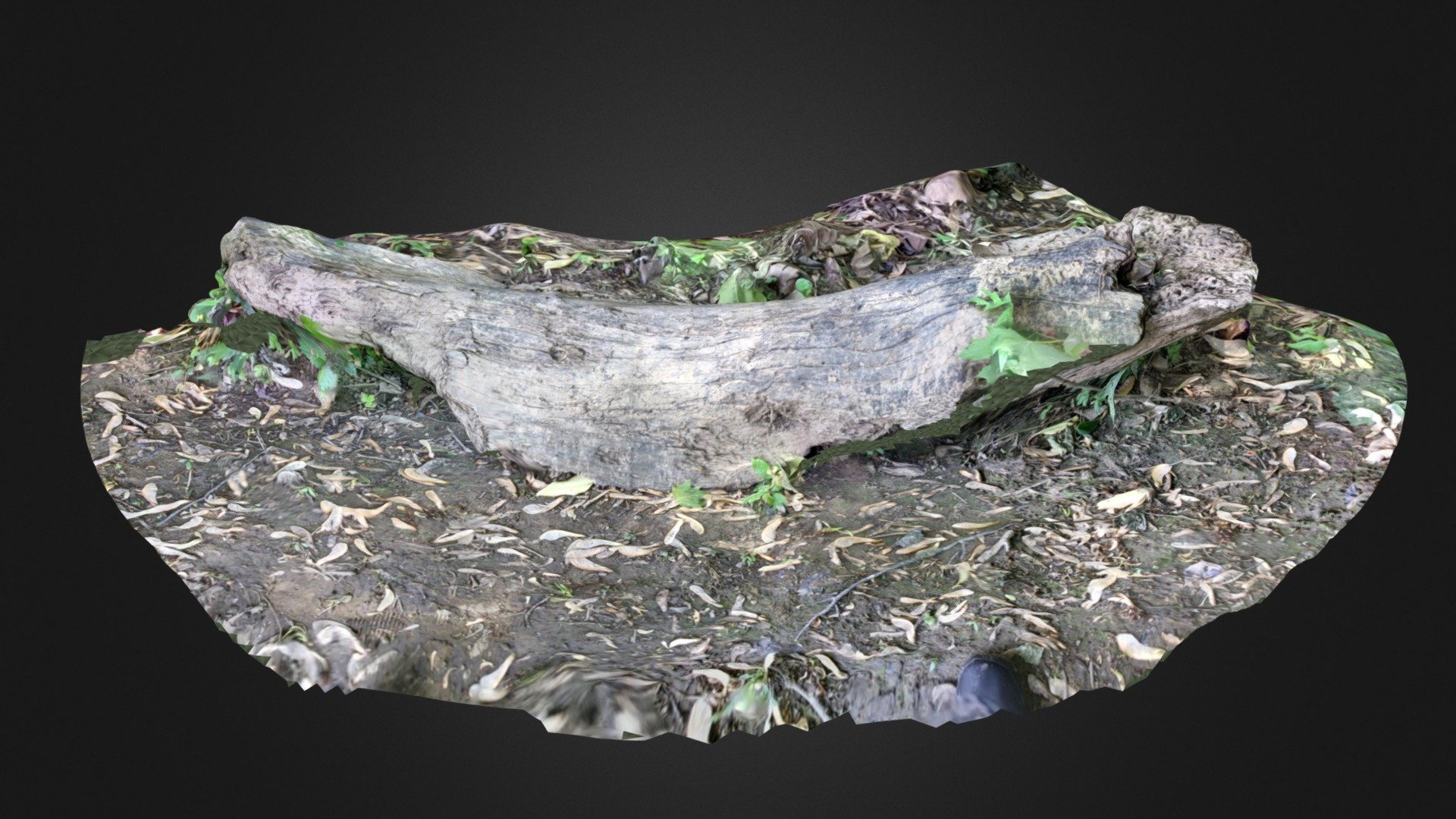 Driftwood on the James River - Download Free 3D model by Terrie ...