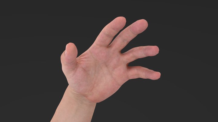 WIP_hand_anim_test_signOK_E01 3D Model