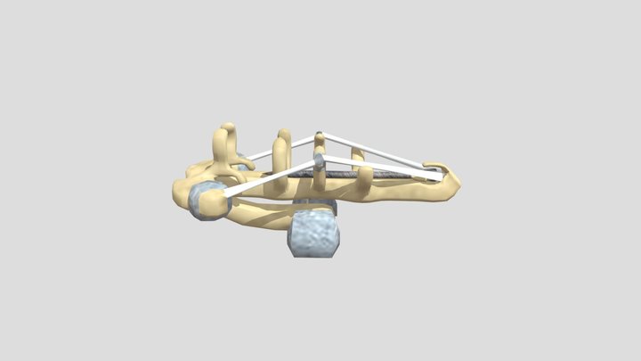 bonelista 3D Model