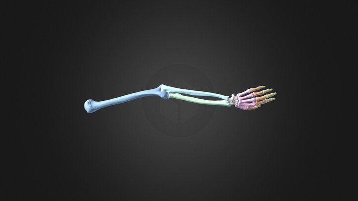 PM Final Project LUE 3D Model