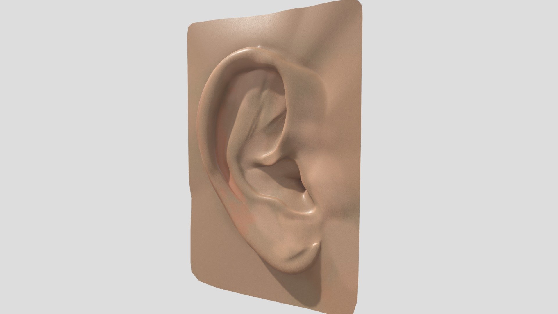 Human_Ear_R_Feldman