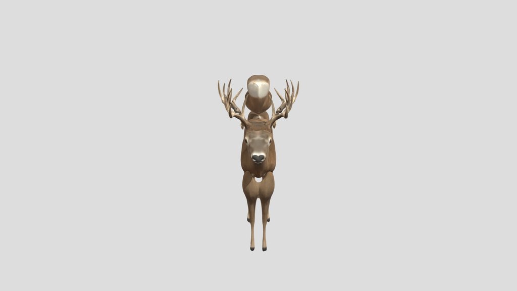 Disassembled Deer