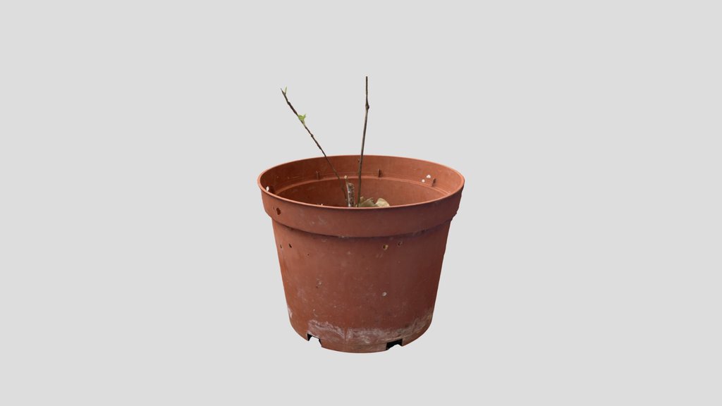 Plant Pot Small