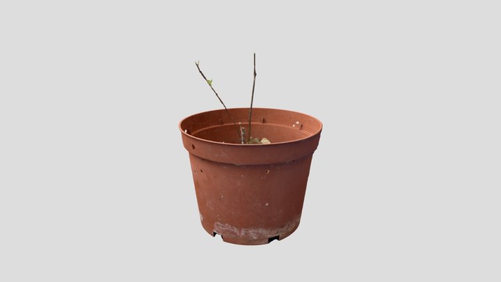 Plant Pot Small 3D Model