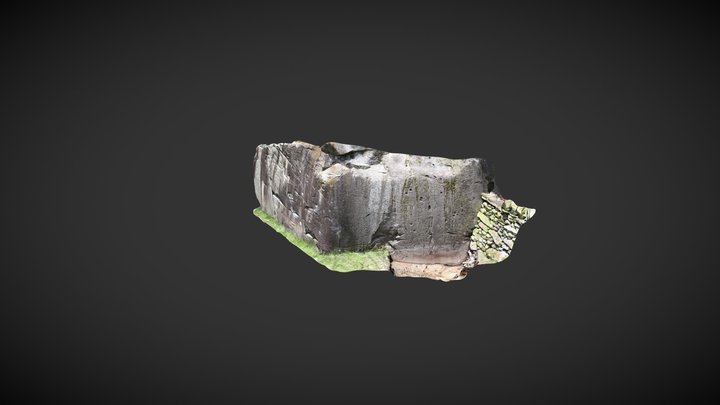 Copt Howe Rock Art Excavation 3D Model