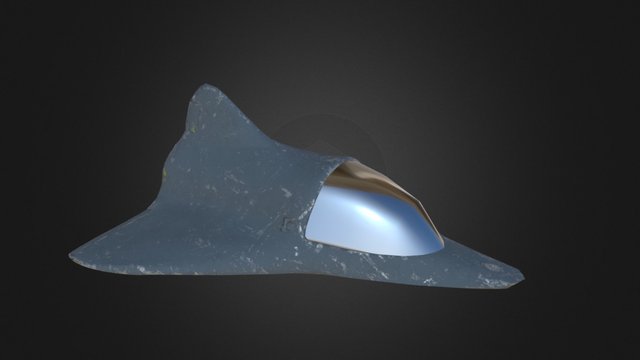 Dolphin Ship Vehicle 3D Model