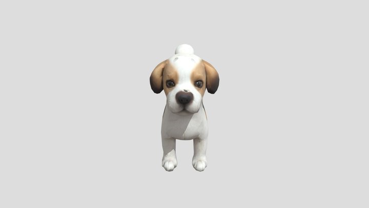 Playful Pup