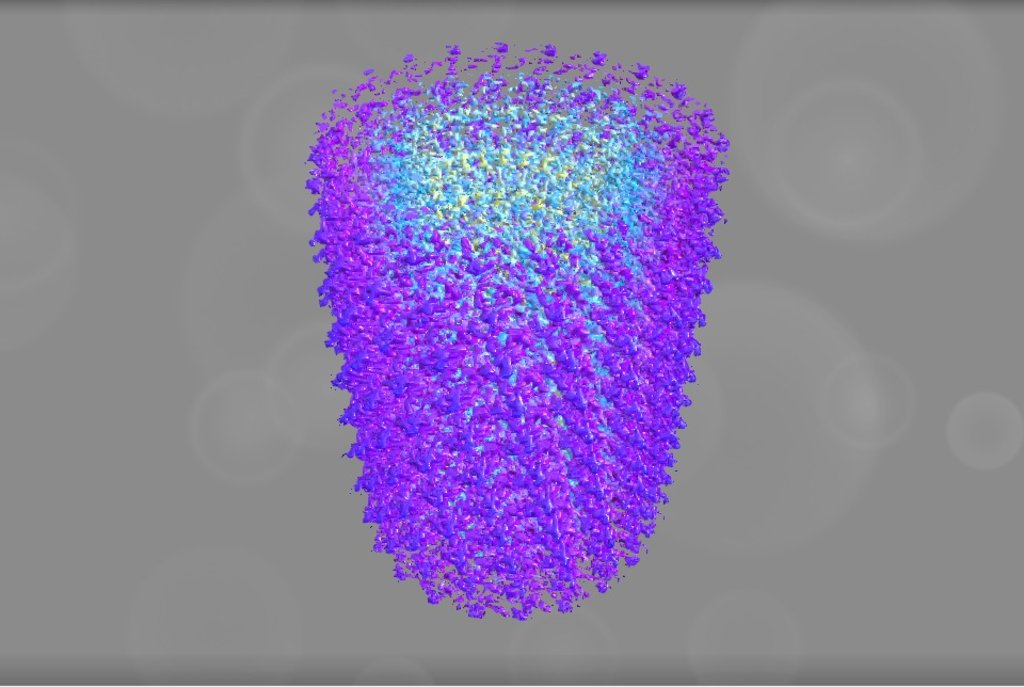 EMD 3073 - 3D model by Interactive 3D Data (@proteinsimulation ...