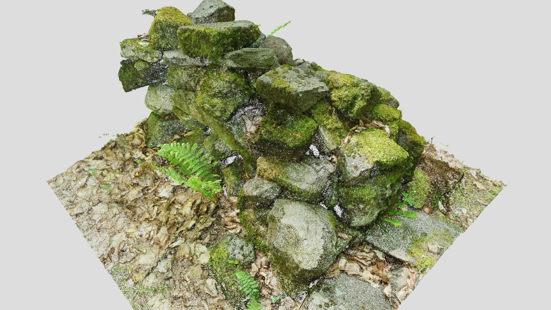 Rustic Stone Wall | Photogrammetry | Point Cloud - Buy Royalty Free 3D ...