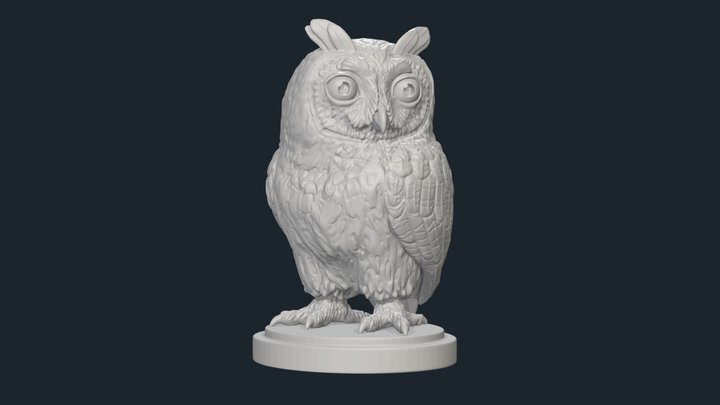 Striped Owl (Asio clamator) Tiny Sculpt. 3D Model
