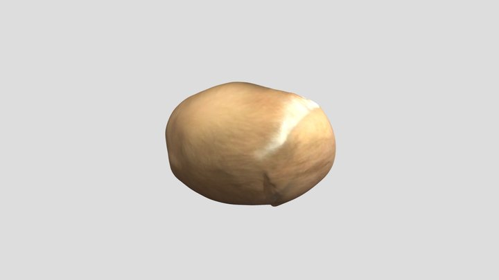 Archive 3D Model