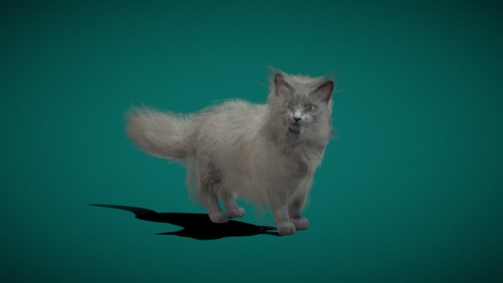 Nebelung Cat 3D Model
