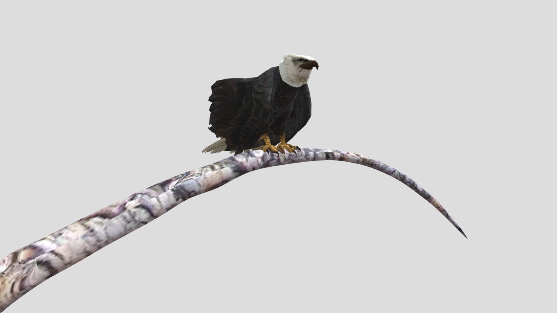 model