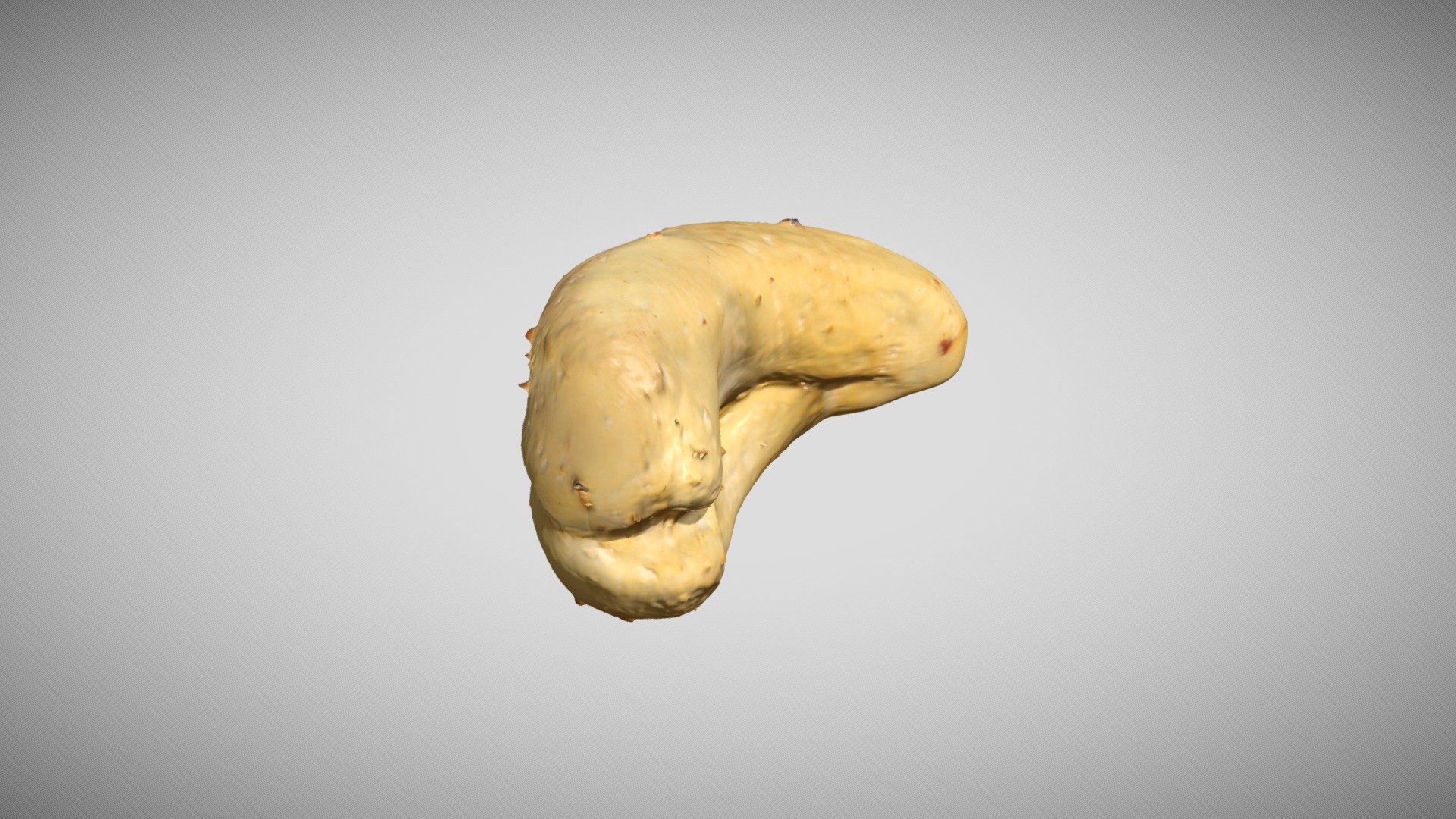 Cashew 1 3D Scan Photogrammetry